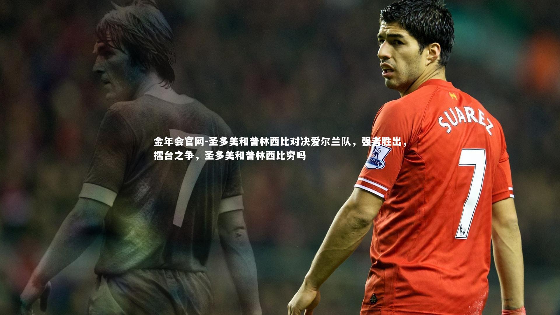 圣多美和普林西比对决爱尔兰队，强者胜出，擂台之争，圣多美和普林西比穷吗